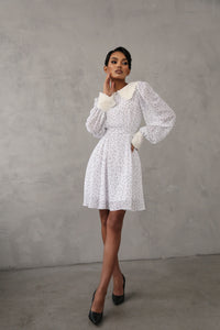 Crepe Chiffon Dress with Turndown Collar and Cuffs-baagr.myshopify.com-dress.-BOJONI